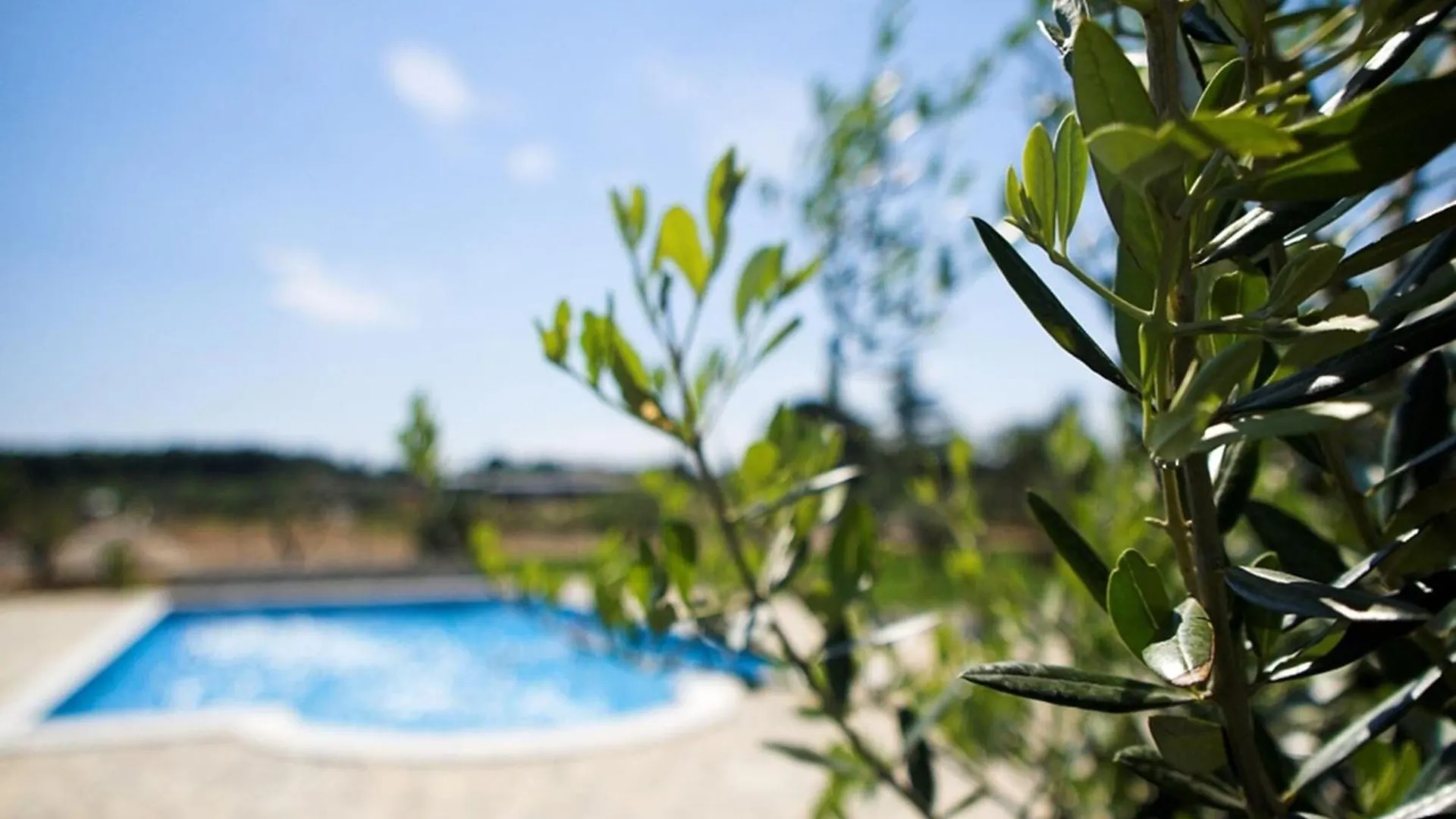 Marceta Apartment 4 - Pool And Big Garden Fažana